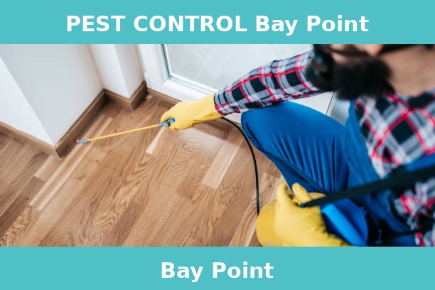 PEST CONTROL Bay Point